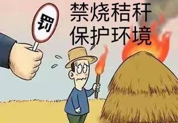 禁烧秸秆•保护环境——柳桥中心小学在行动ing