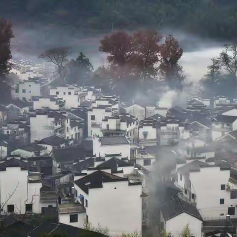 婺源秋光