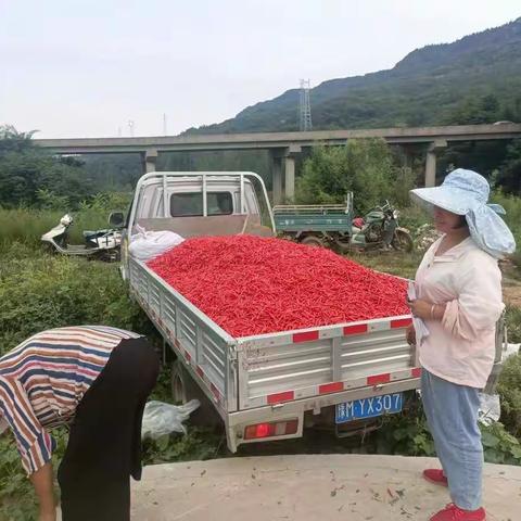 仁村乡发科岭村：擦亮“产业兴旺星” 铺就百姓“幸福路”