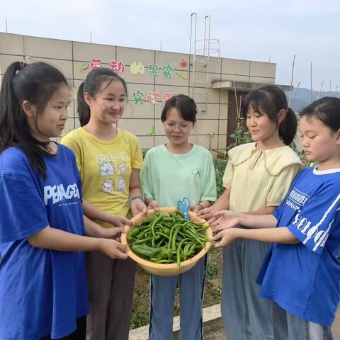 悦劳动 悦生活—岩头中小605班劳动总结