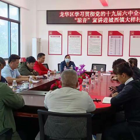 城西镇大样村学习贯彻党的十九届六中全会精神“琼音”宣讲