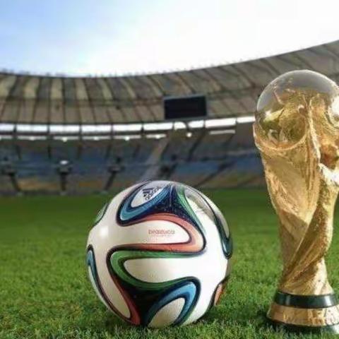 西关中学初一384班 第10组      ‘卡塔尔’综合实践展示