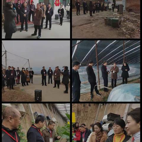 南唐乡开展代表集中进站履职活动