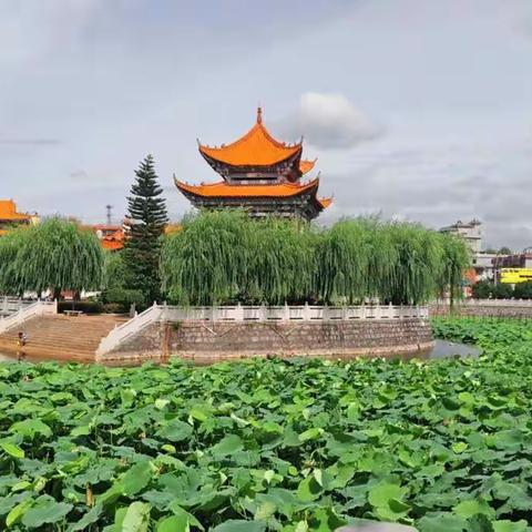 （最难忘的日子，最值得珍惜的情意）