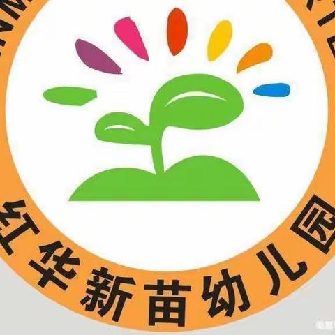 红华新苗幼儿园——《滑滑梯》安全教育课