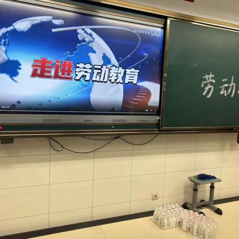 劳动教育