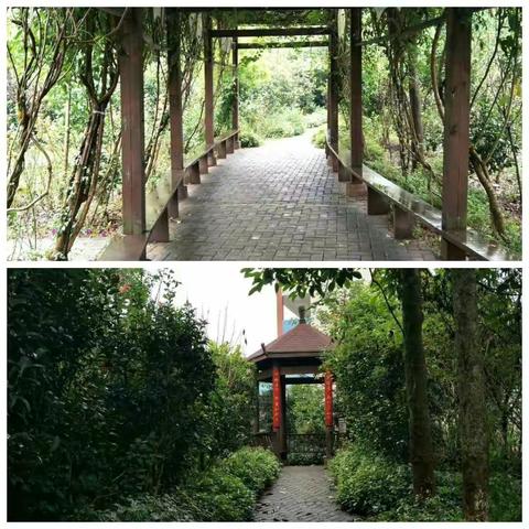 劳动传递快乐   实践促进成长