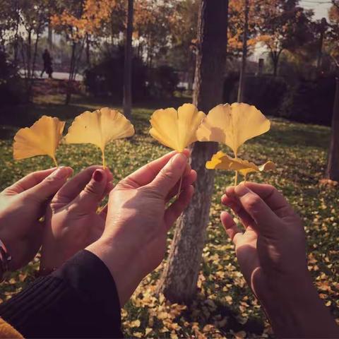 最好的礼物，你的陪伴——彩虹四班亲子活动