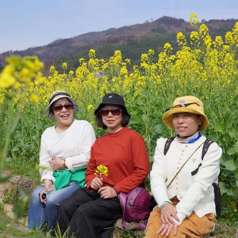 王家花开思蒙湾