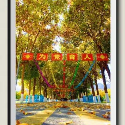 一花独放不是春  ﻿百花齐放春满园