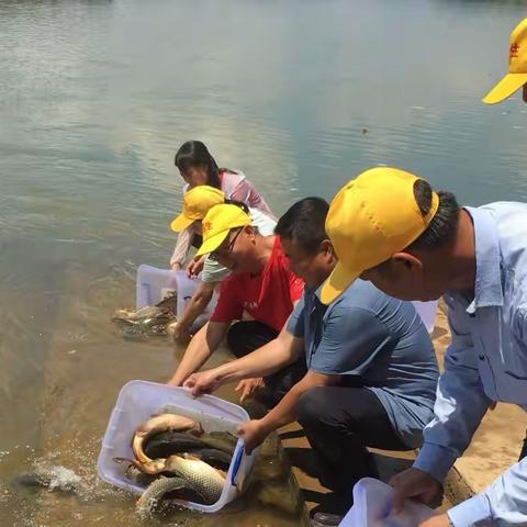 《遇见了放生之感悟》