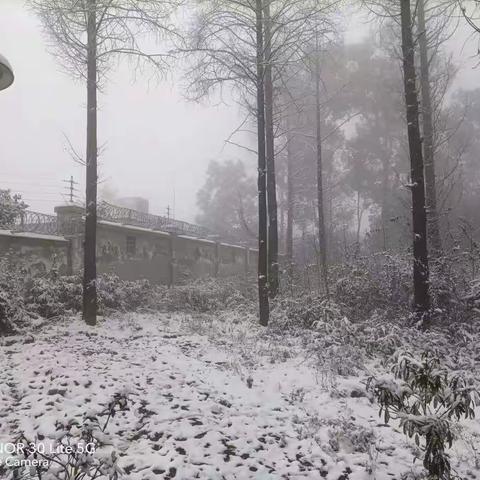 雪花儿