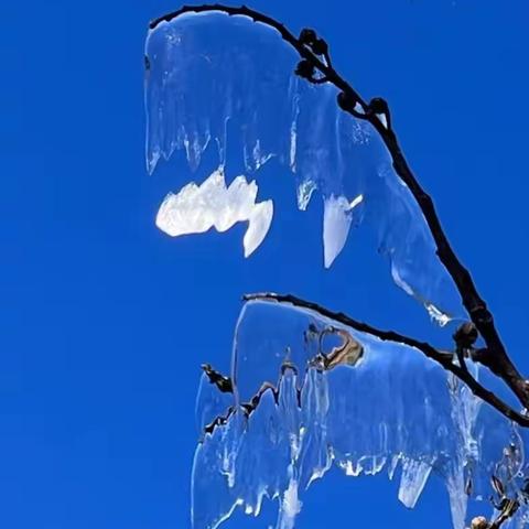 攀登冬雪“普禅山”（永安）