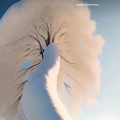 美友90194766的美篇