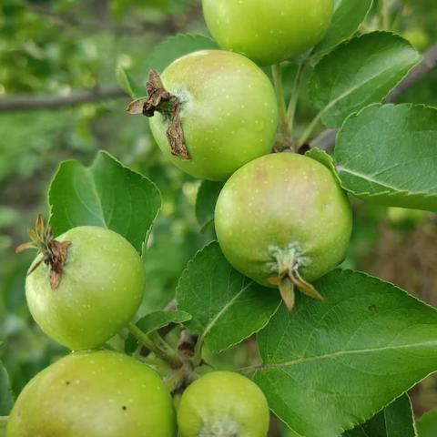 美友90194766的美篇