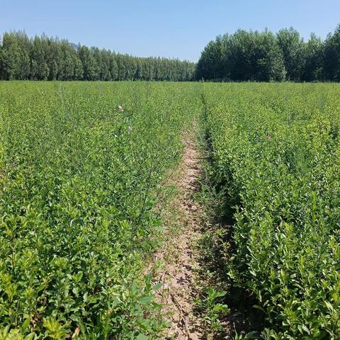 美友90194766的美篇