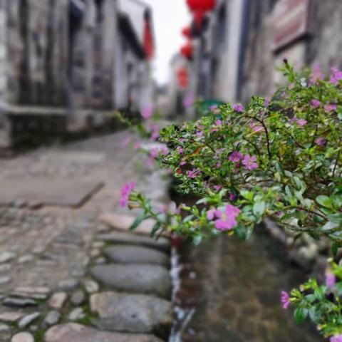 宁波市宁海县前童古镇20211103