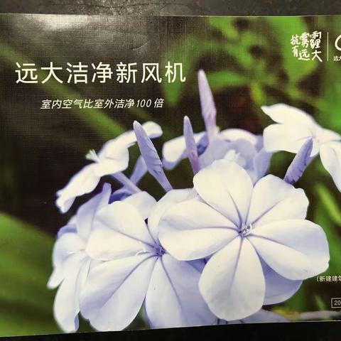 远大新风系统