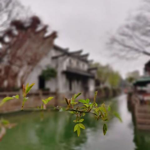 20210307嘉兴月河古镇