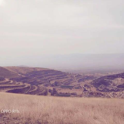 尧园教师3.8幸福随照1