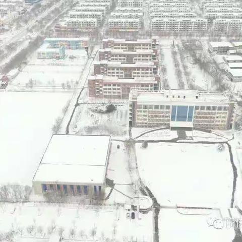 阳信县第一实验学校小学部“大雪至 仲冬始”主题活动