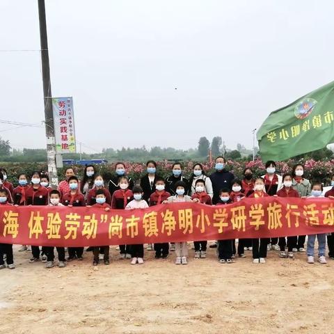 净明小学师生畅游花海研学旅行