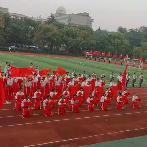 乘风破浪  青春飞扬——记青春中学七（8）班秋季运动会