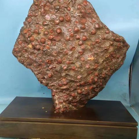 贵州红梅石。每个石头都有详细视频15008533513