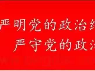 唐沣社区党总支开展“严守纪律规矩 加强作风建设”学习教育系列活动