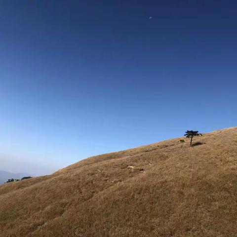 （钰馨.錵)峨眉天下秀 武功世上奇