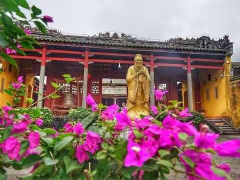 ✨海南白驹学校✨  中学部研学旅行