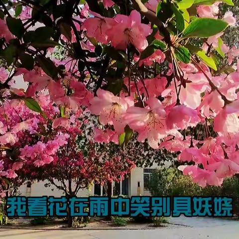 四月芳菲  与美同行