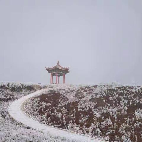 家校联系共助力，寒假生活精彩多
