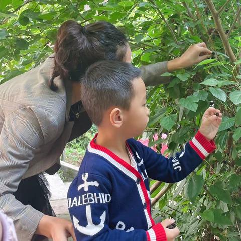 四月完美收官，五月扬帆起航（乐乐中一班）