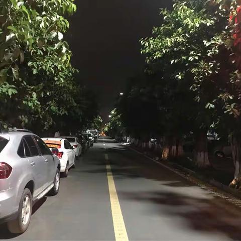 区文旅局7月31日夜巡兴华路和翠亨路情况