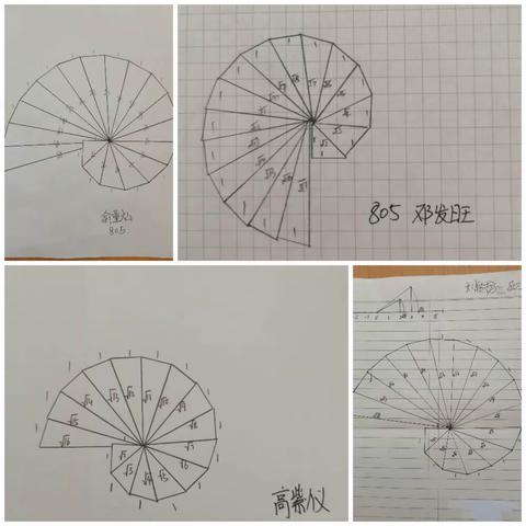 数学海螺