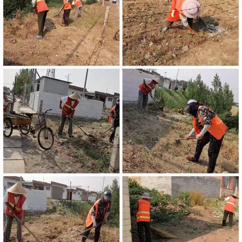 环境整治不停步，人居环境再提升