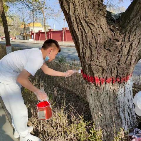 “美化环境 ，保护树木”活动🌳🌳