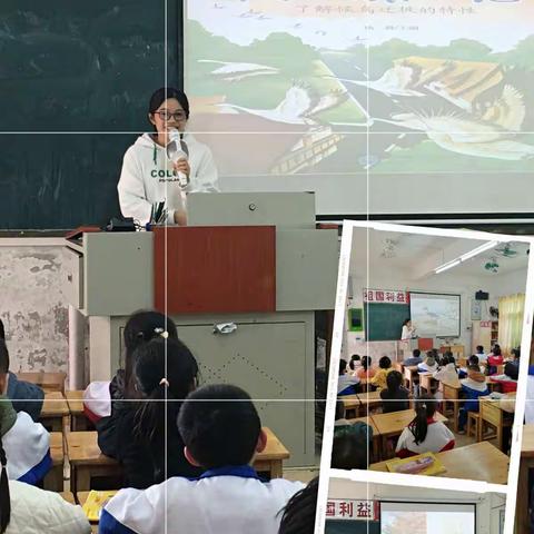 一1班科普绘本故事《大雁旅行记》