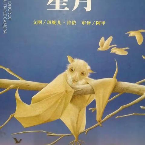 一1班绘本故事《星月》