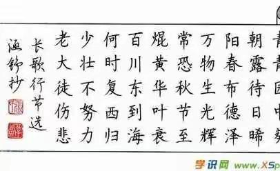 一撇一捺写字，一分一秒惜时——武墩中心小学少年宫高年级硬笔书法班第一周活动汇报