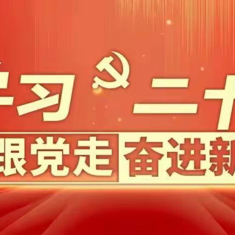 塔城销售公司：组织青年员工学习二十大，筑牢青年思想根基