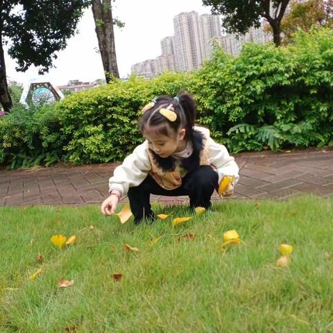 有趣的叶子和香香的花朵