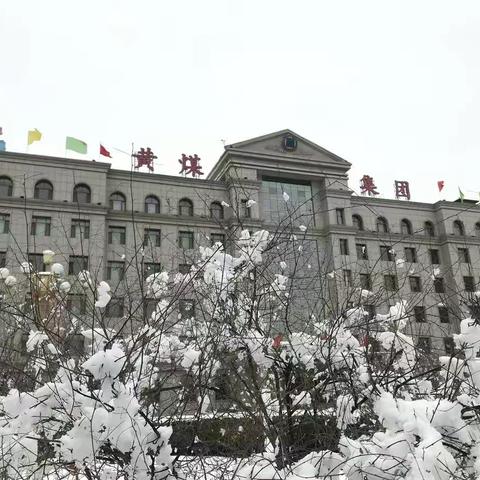 大雪纷飞，雪中黄煤