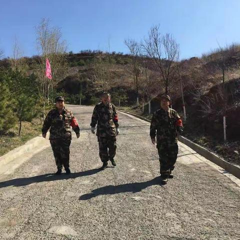 黄煤上下齐行动，天罗地网护家园