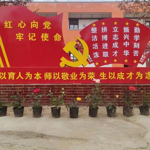 我向学生借盆花