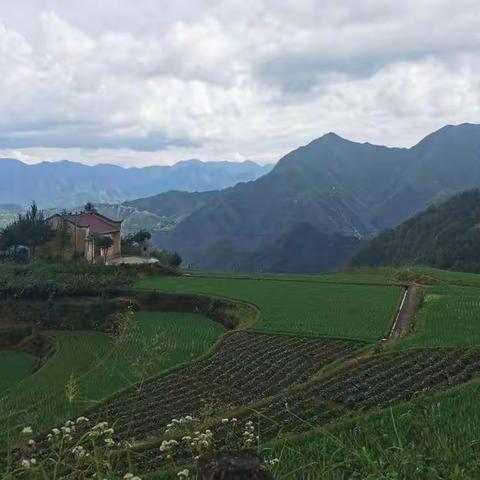 顾连金帆康复医院8月份主题党日活动