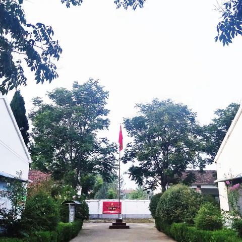 做学生成长的引路人，——丁王集小学教师团队