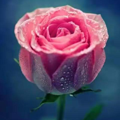 不敢晒的幸福，才是真幸福