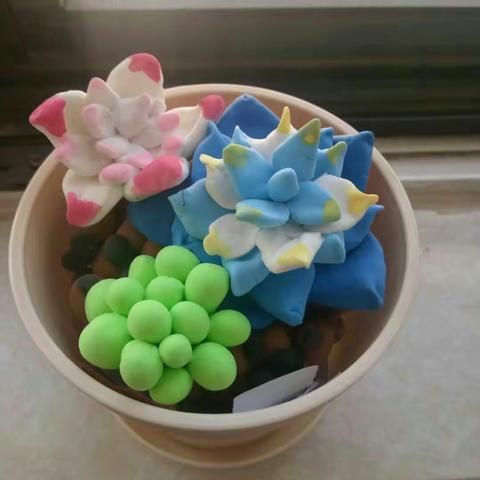 爱家乡、重环保、促发展————解放二校六（2）班国庆社会实践活动